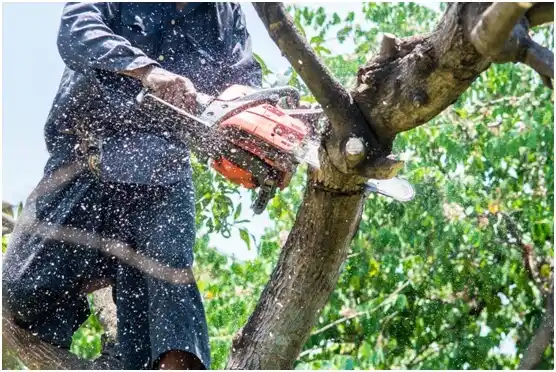 tree services Hepzibah